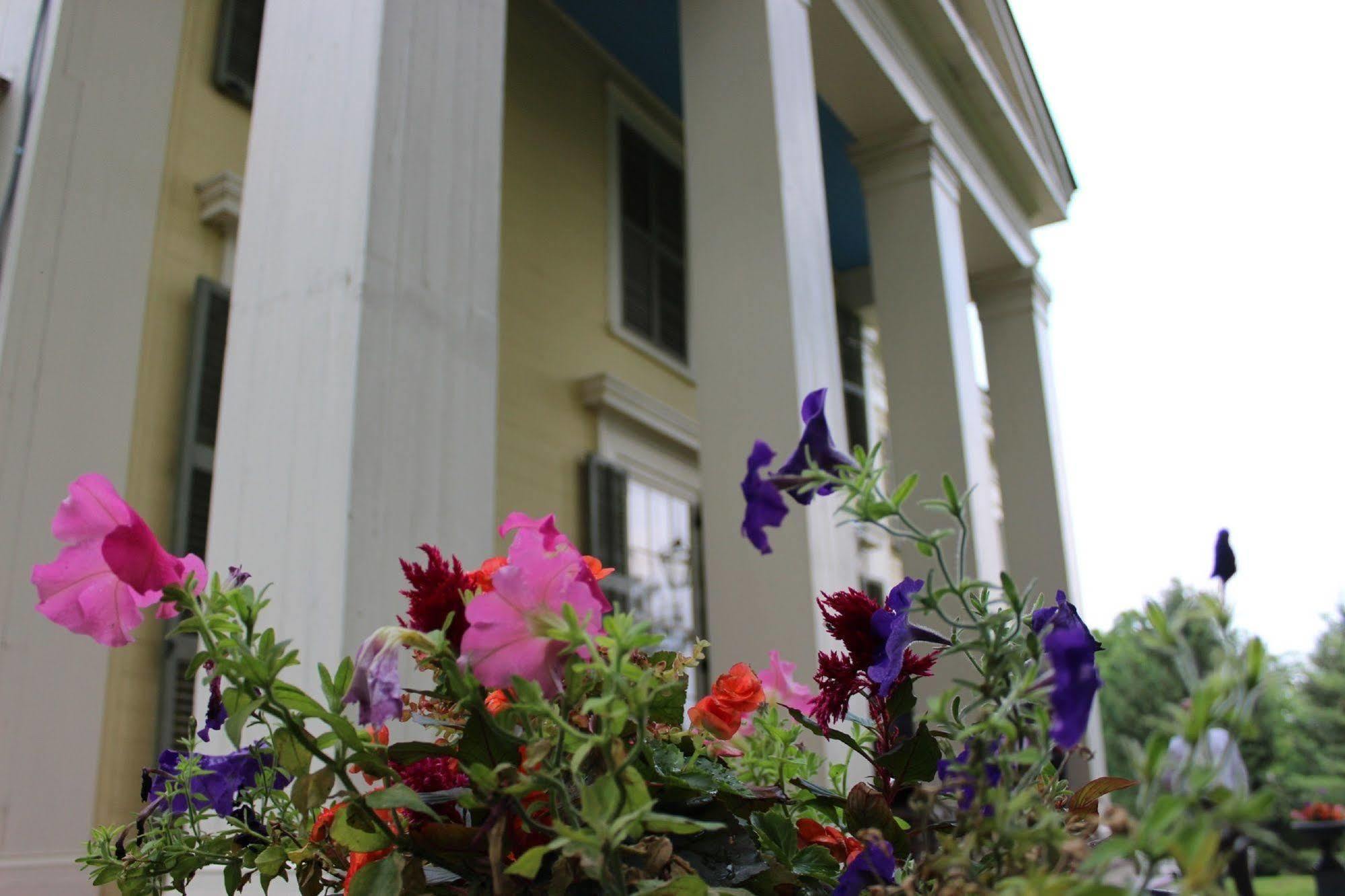 Oakcliff Bed And Breakfast Halfmoon Luaran gambar